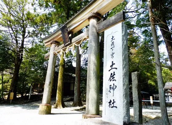 鳥居をくぐると空気が変わる…？