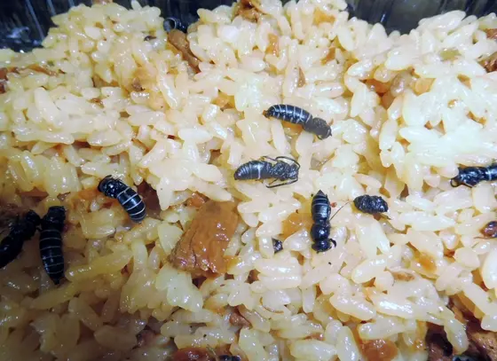 へぼ飯