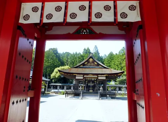 インスタ映えする穴場神社