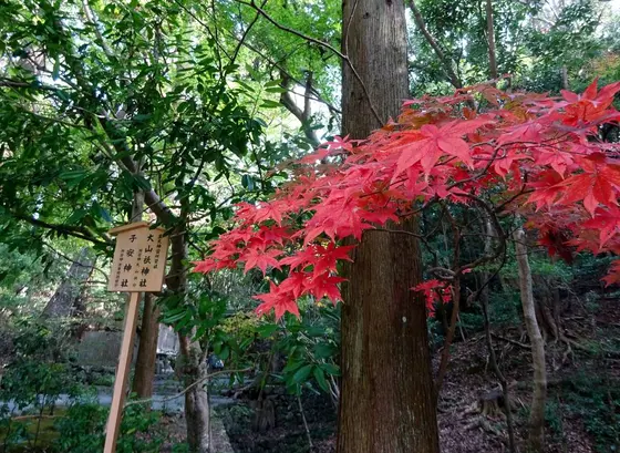 大山祇神社・子安神社