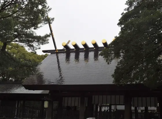 「美人祈願」まず本殿にお参り