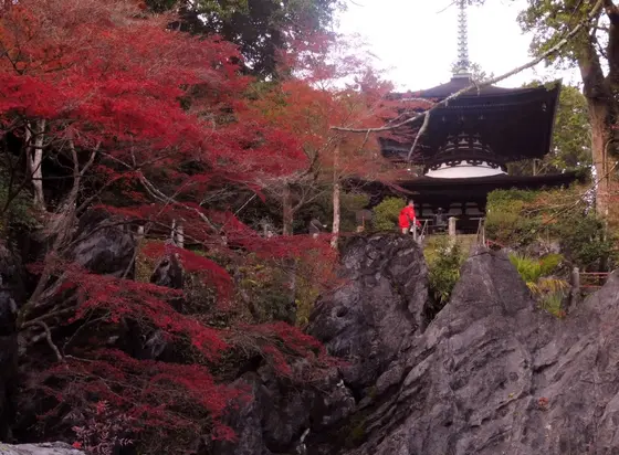 石山寺というと…！硅灰石
