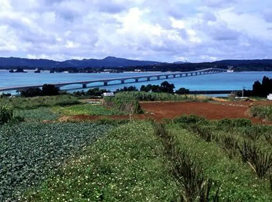 赤土の島