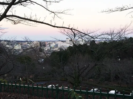 高台からの見晴らし( ^ω^ )