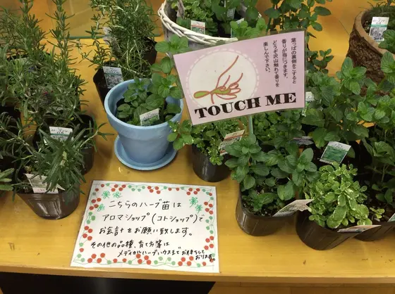 館内ギャラリー(*^ω^*)