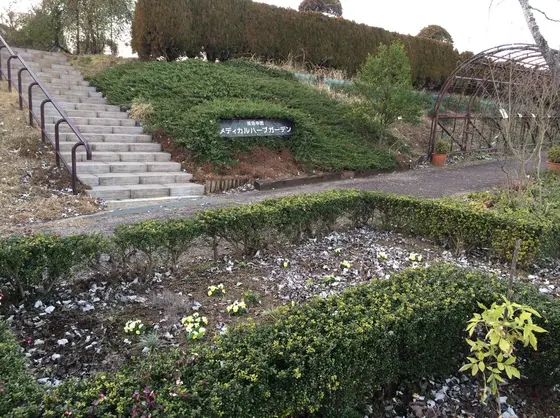 ハーブガーデン散策✳︎