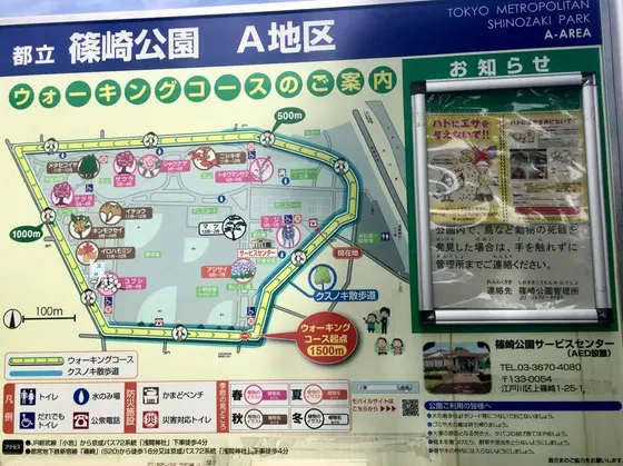 四季折々の草花が生えてます。公園を一周できるウォーキングコースも設定さ入れているのだ！