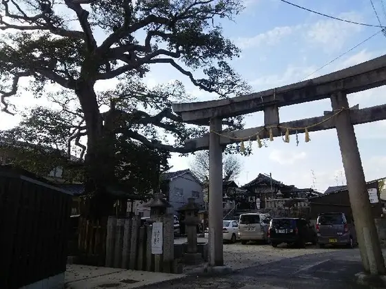 「七野」の7って？