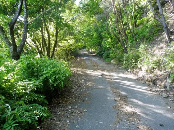 加治田城跡への道
