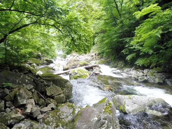 滝めぐりは雨上がりに…！