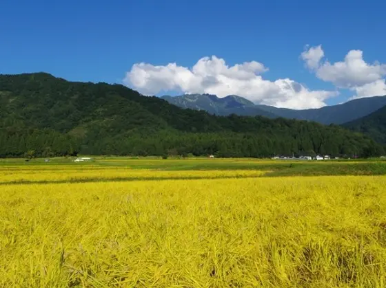 八海山の麓で秋を満喫