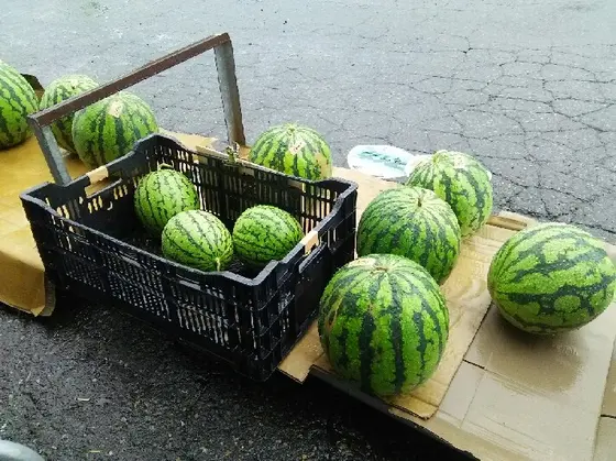 とにかく甘いんです！