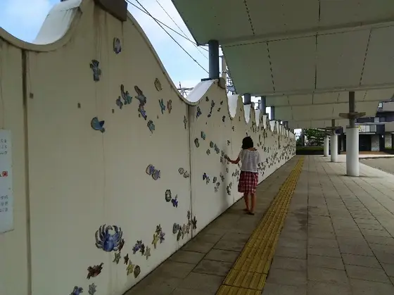 壁一面の海！
