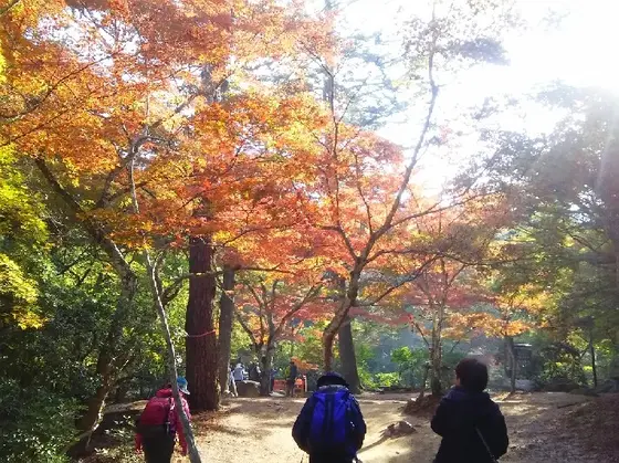 あでやかです