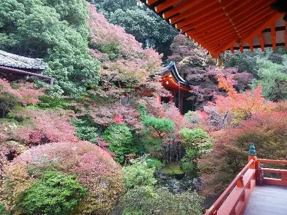 【立ち寄りスポット】毘沙門堂