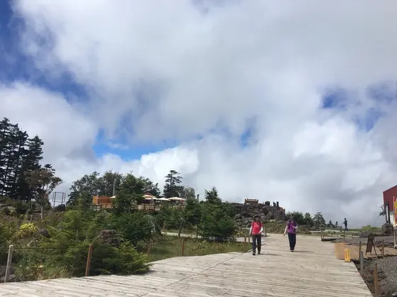 ロックガーデン