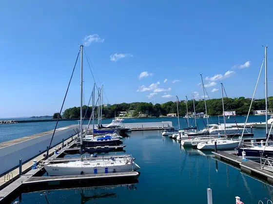 レストランの隣にはたくさんの船がとまってる⚓️