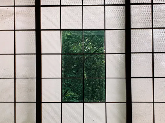 深緑