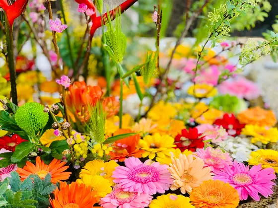 入口すぐに、素敵な花手水が！