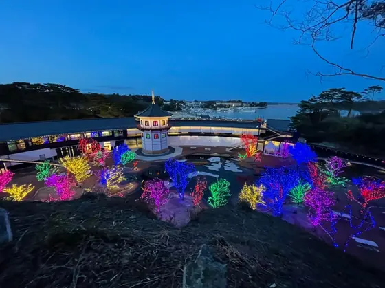 丘を登れば絶景