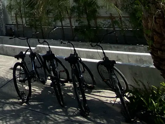自転車