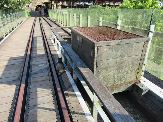 猴硐煤礦博物園區 瑞三運煤橋