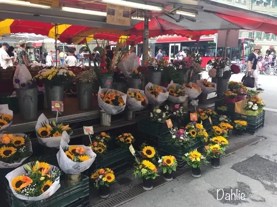 スポット内のおすすめ