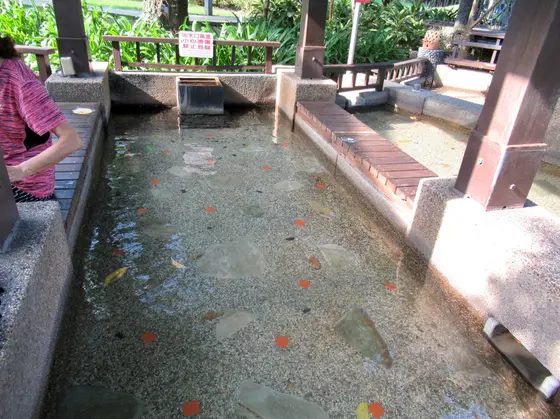 公園内足湯