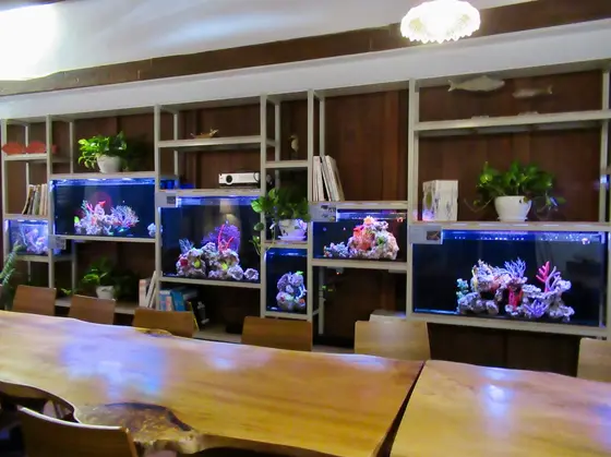 東興洋行・ocean space cafe