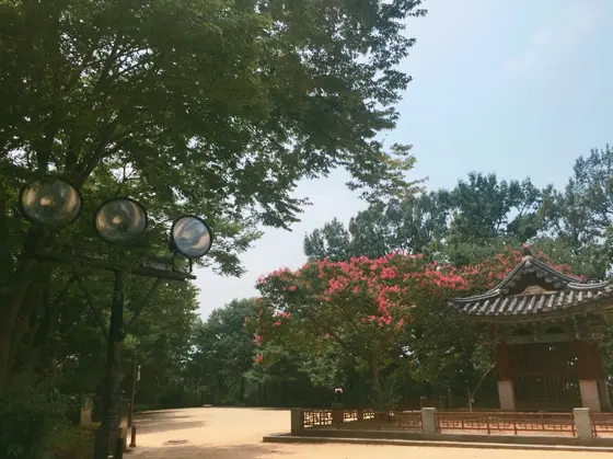 내려가는 길（下り道）