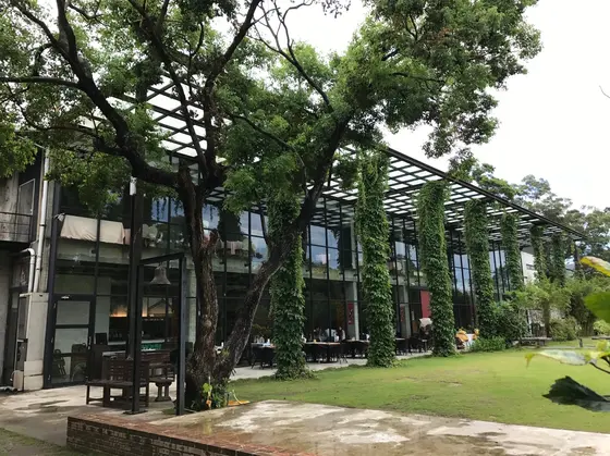 新月梧桐三義店