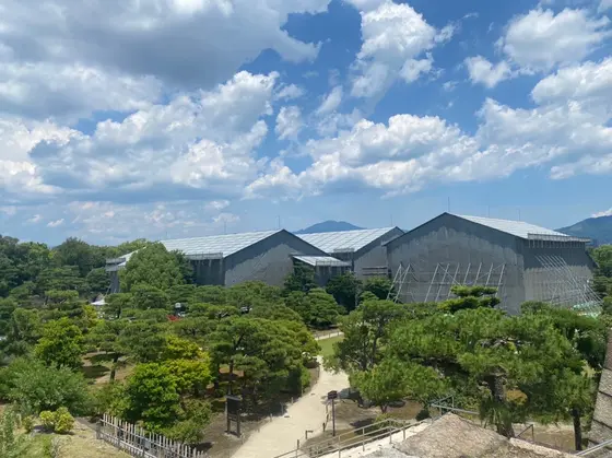 メインの二条城ですが…