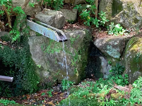 お水も汲めるよ