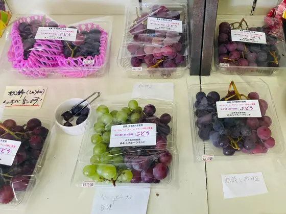 無農薬栽培にこだわった果物たち