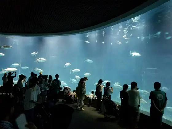館内