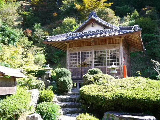 晩秋もオススメ