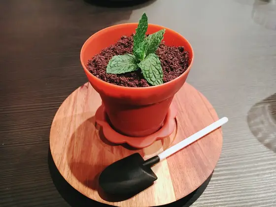 植木鉢デザート