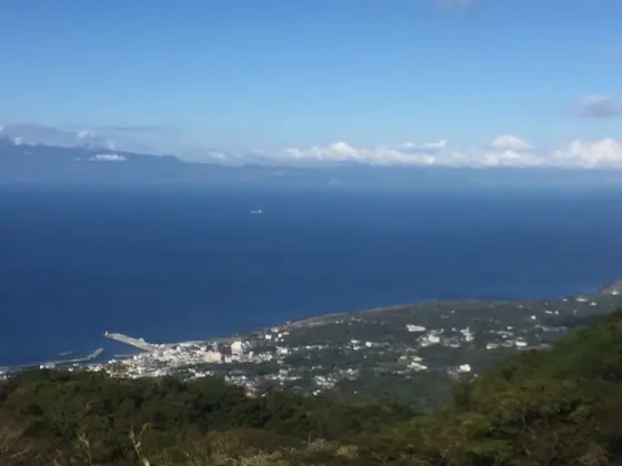 元町港を一望