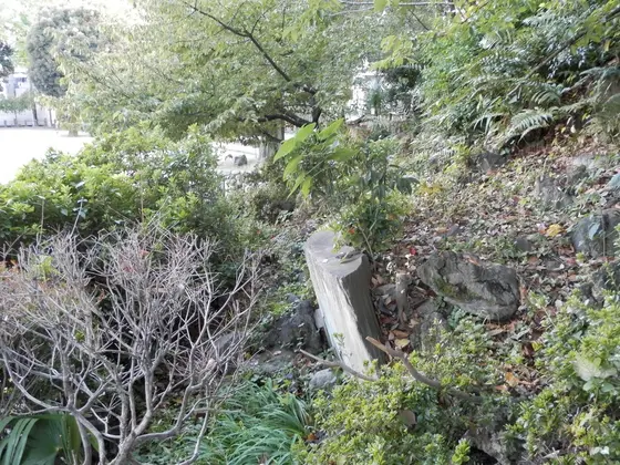 東石段右側の中ほど