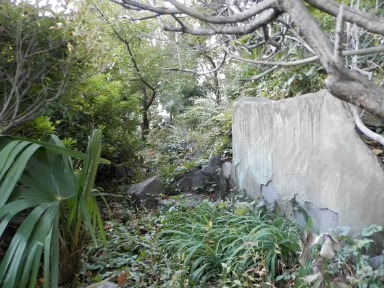 東石段右側を下から