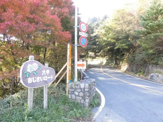 六甲あじさいロード