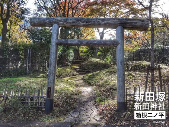 新田塚 新田神社