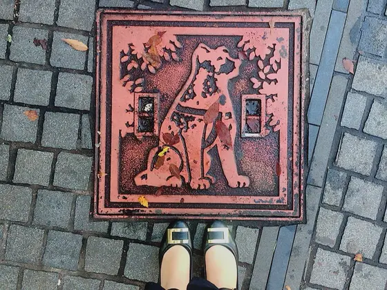 足元にも🐶！？