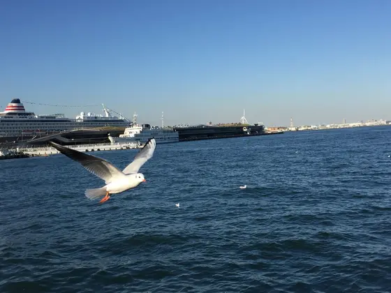 エサやり場