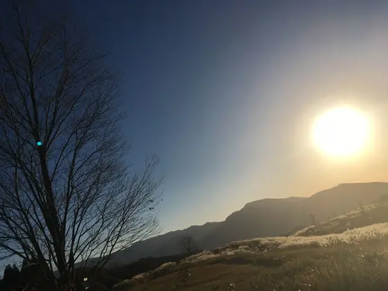 夕暮れの美術館