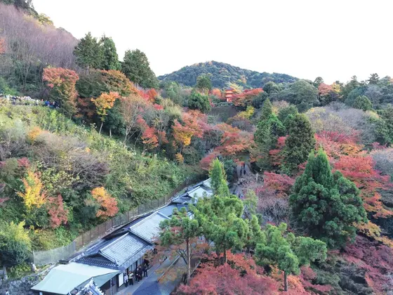 舞台上からの景色