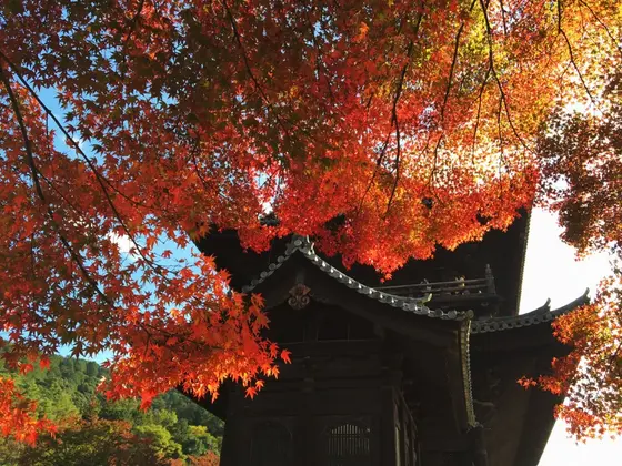 三門×紅葉