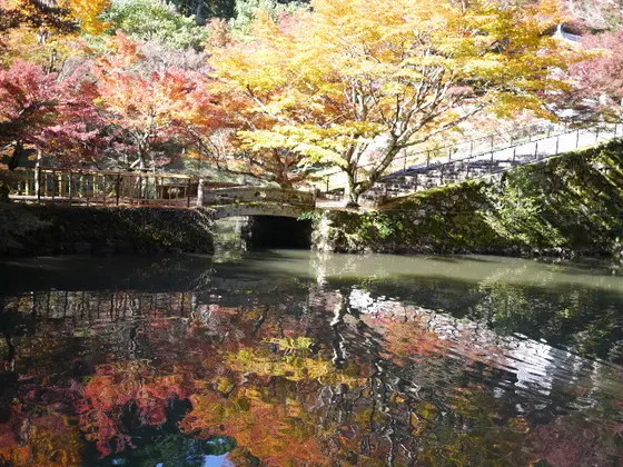 水に映る紅葉