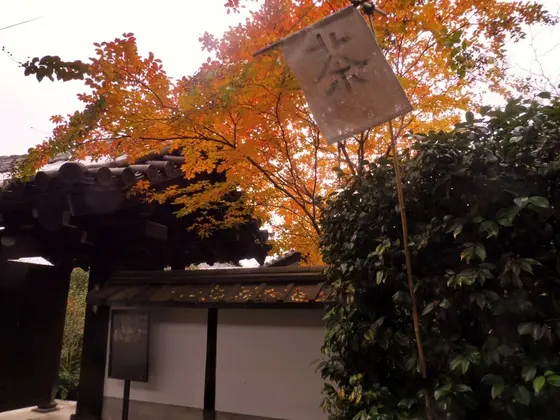 「茶」とあるだけですが…。