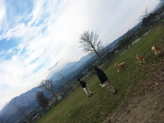 ドッグランもあります☆